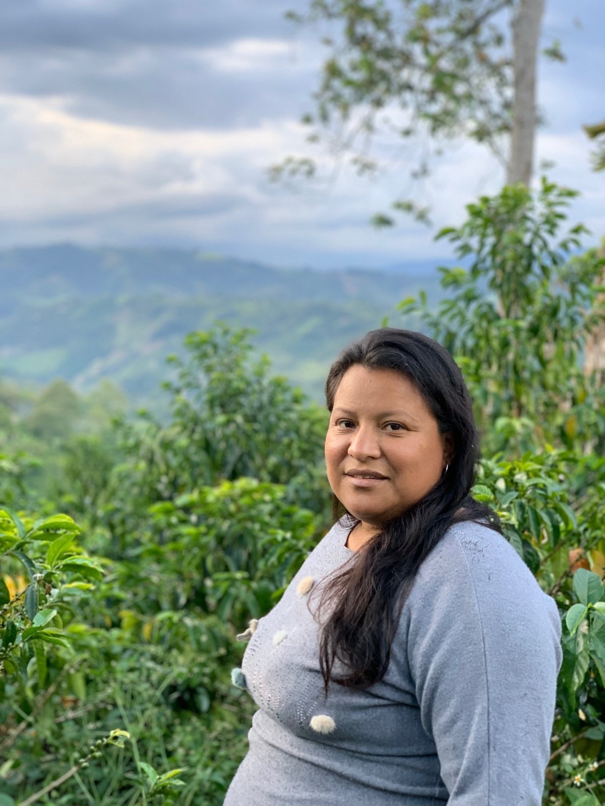 SONIA BOLAÑOS | Colombia | Washed - kaffemikLemonade | Violet | HerbalKaffeebohnen